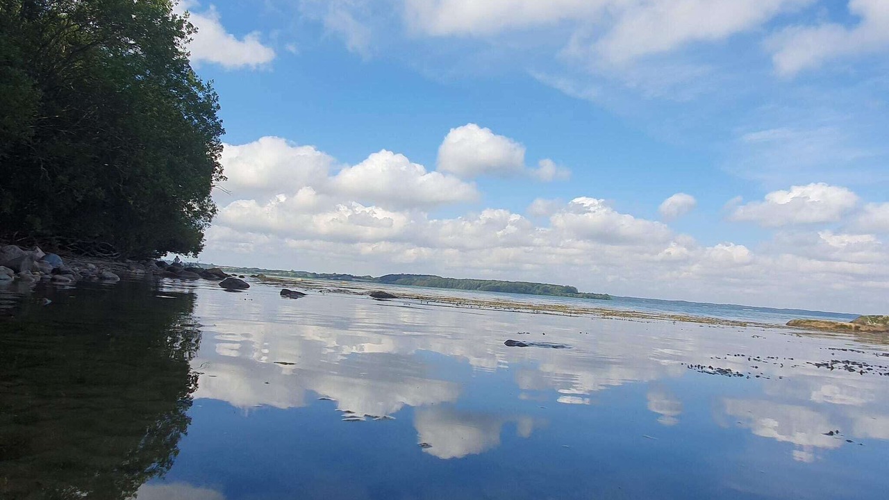 Photo of Others in Aabenraa