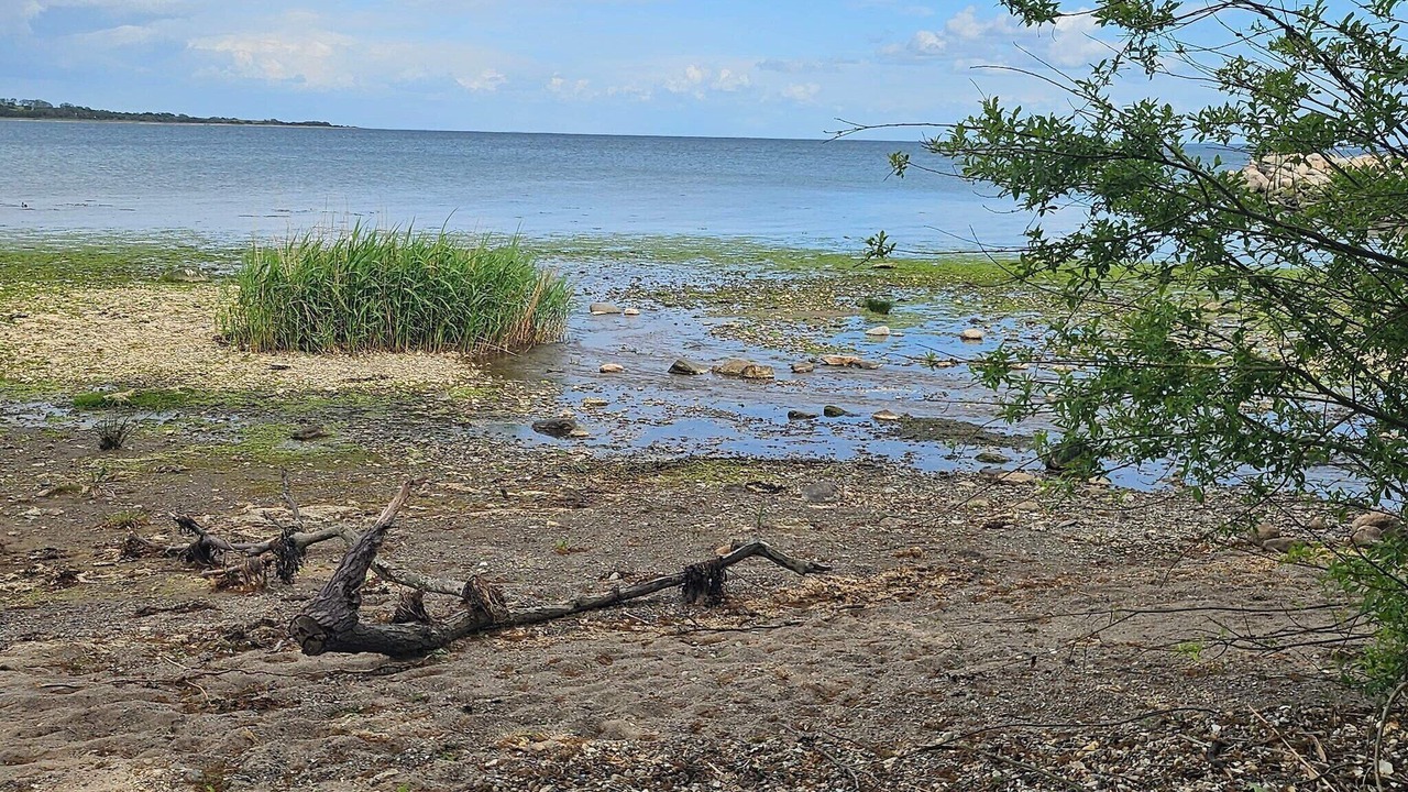 Photo of Others in Aabenraa