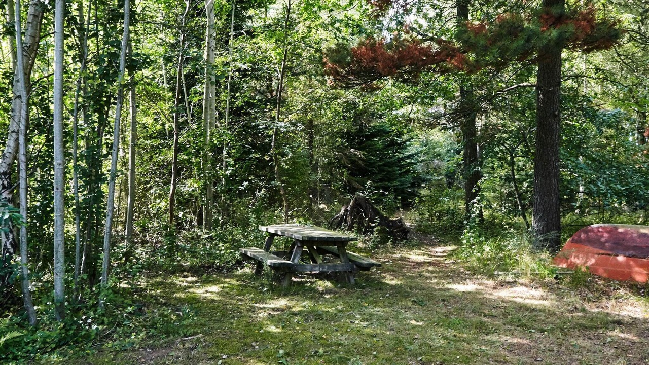 Photo of Outdoor in Ordrup