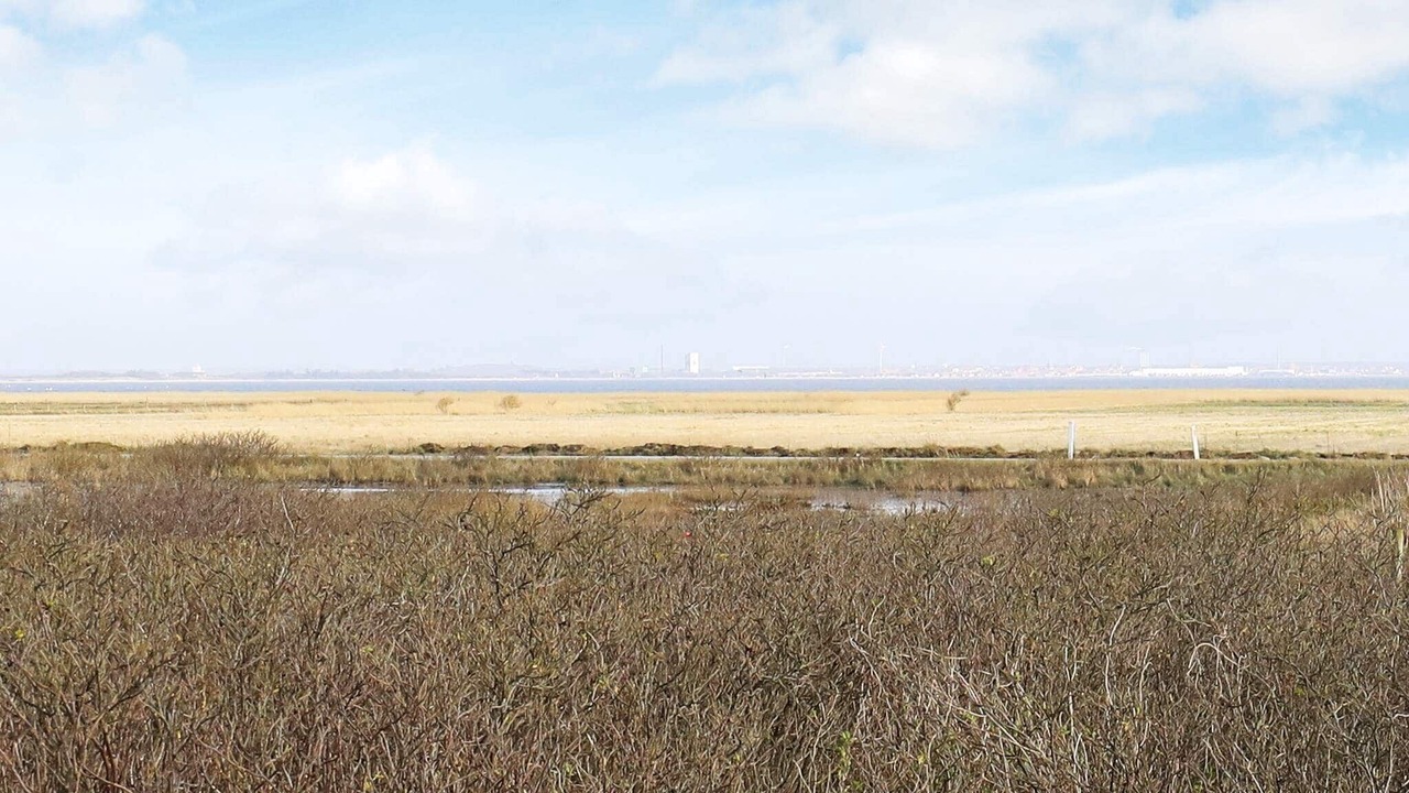 Photo of Others in Klegod Strand