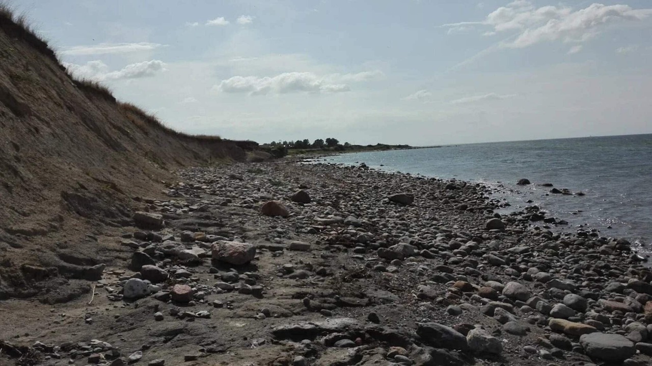 Photo of Others in Frølunde Fed
