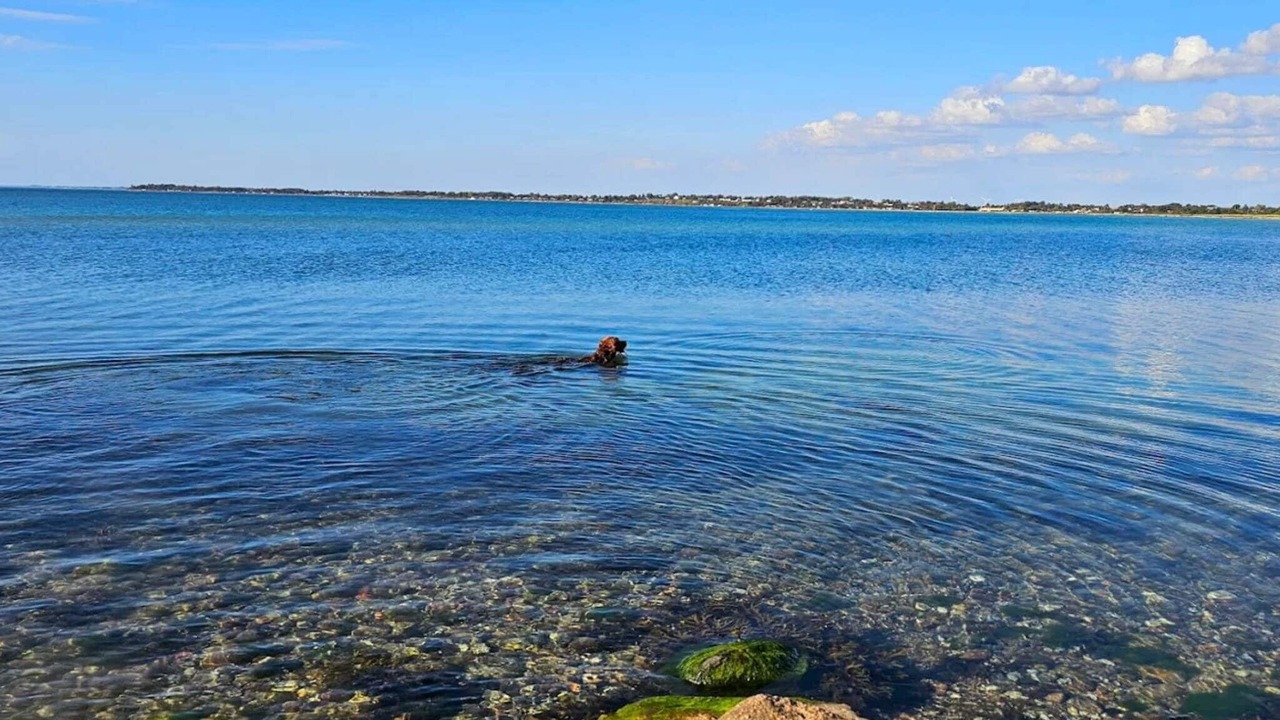 Photo of Others in Frølunde Fed