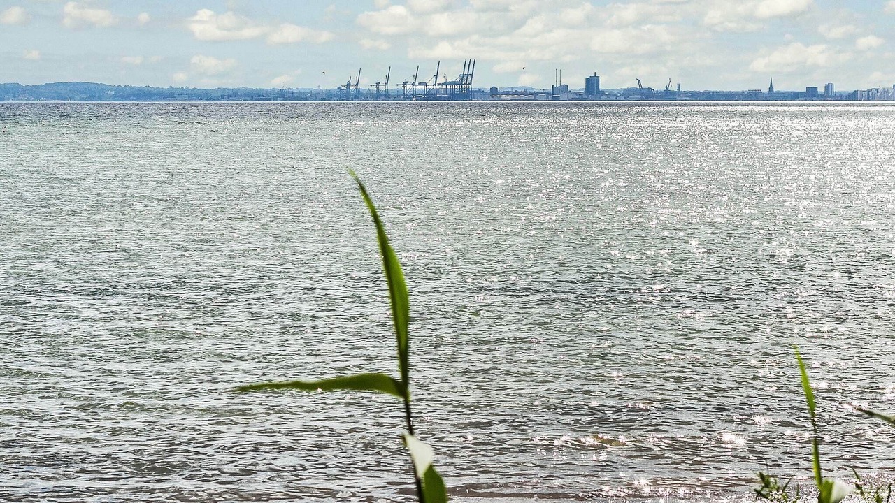 Photo of Others in Skødshoved Strand