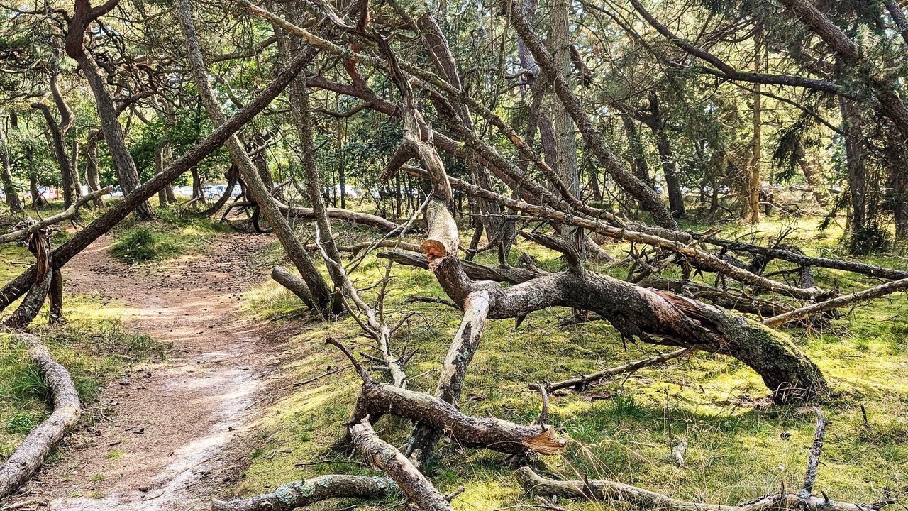 Photo of Others in Frederiksvaerk