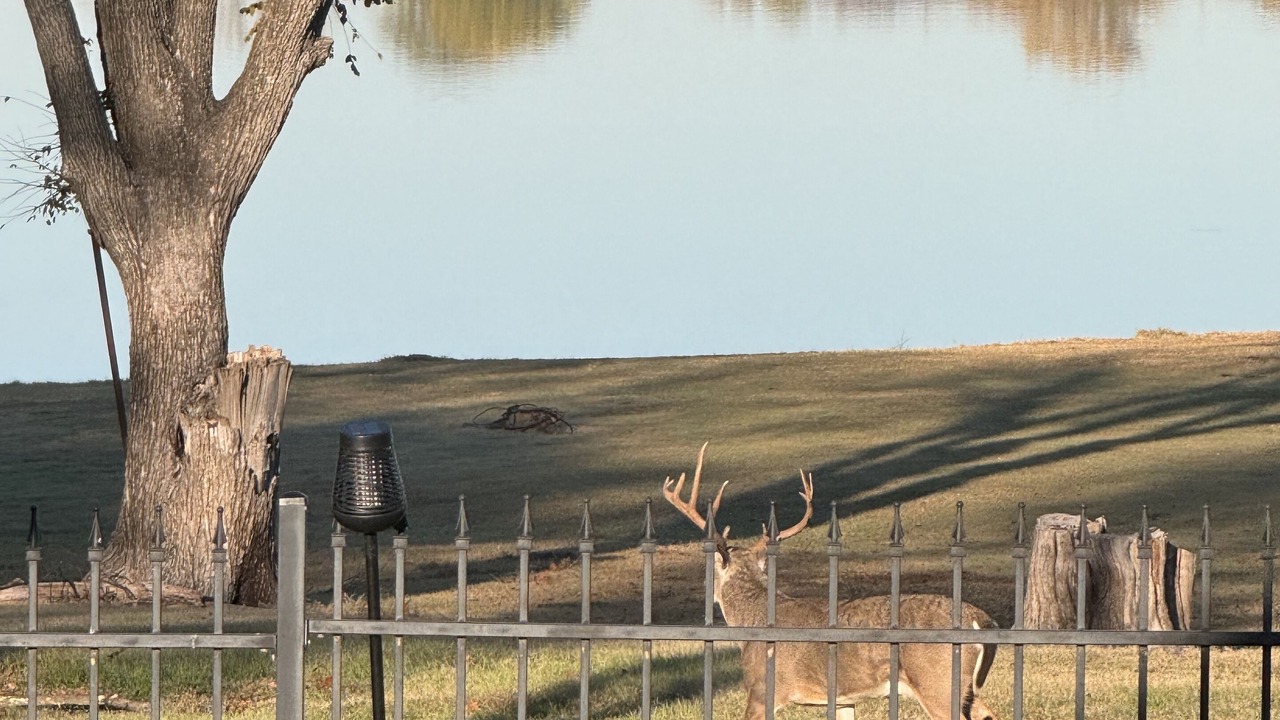 Photo of Outdoor in Frisco