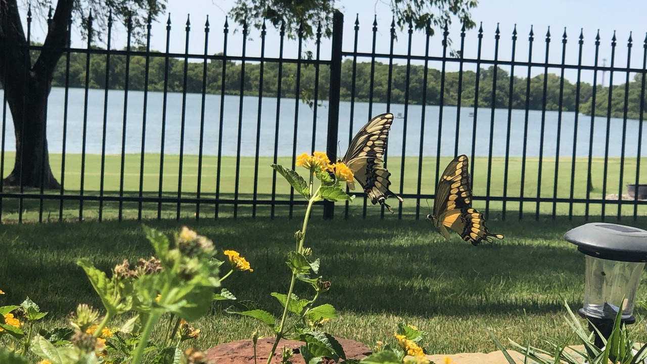 Photo of Outdoor in Frisco