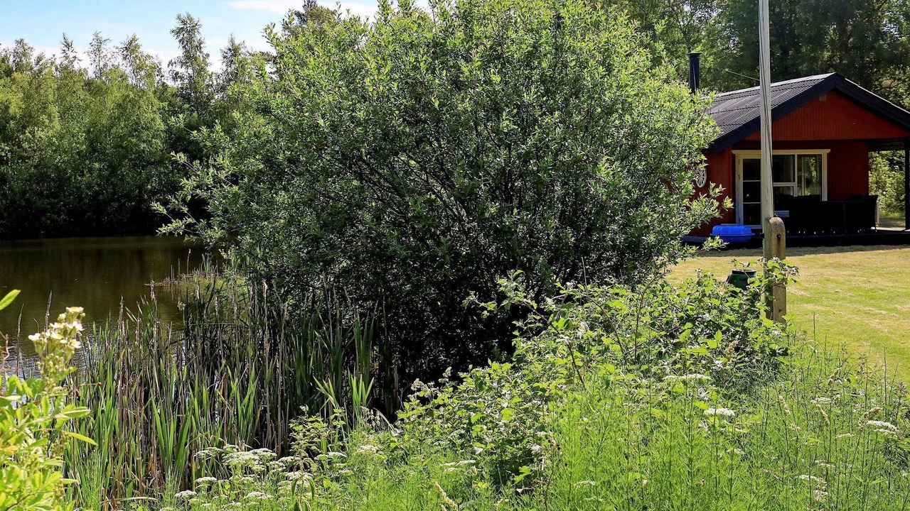 Photo of Others in Læsø