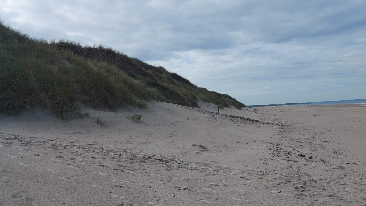 Photo of Others in Rødhus