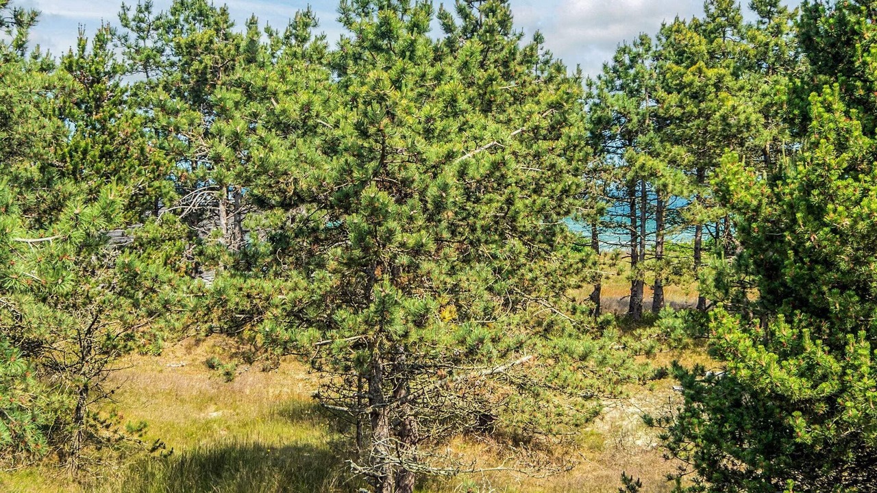Photo of Others in Fjellerup Strand
