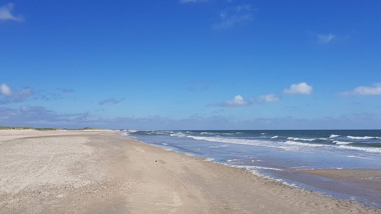 Photo of Others in Blavand Strand