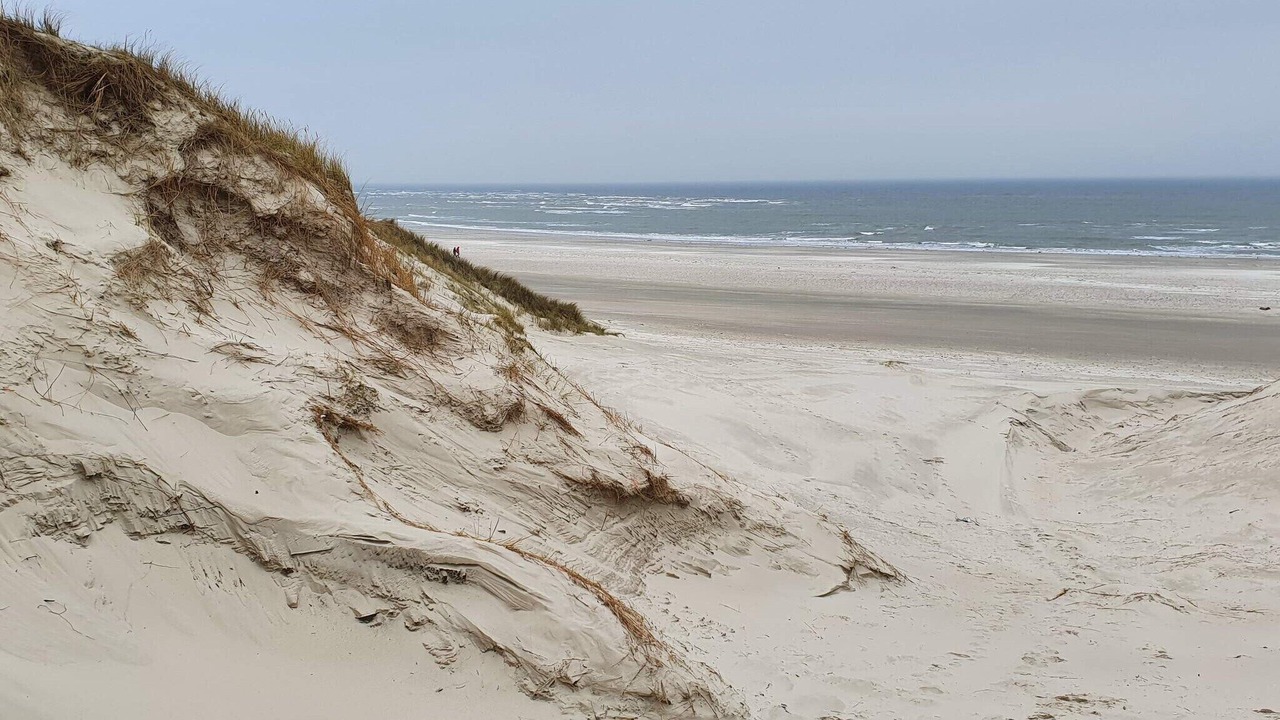 Photo of Others in Blavand Strand