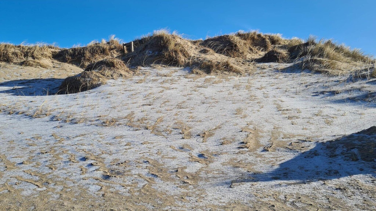 Photo of Others in Blavand Strand