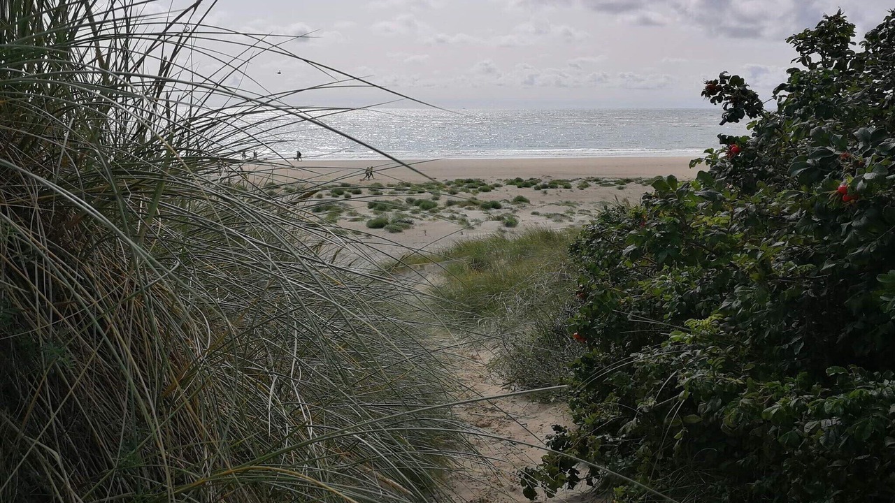 Photo of Others in Blavand Strand
