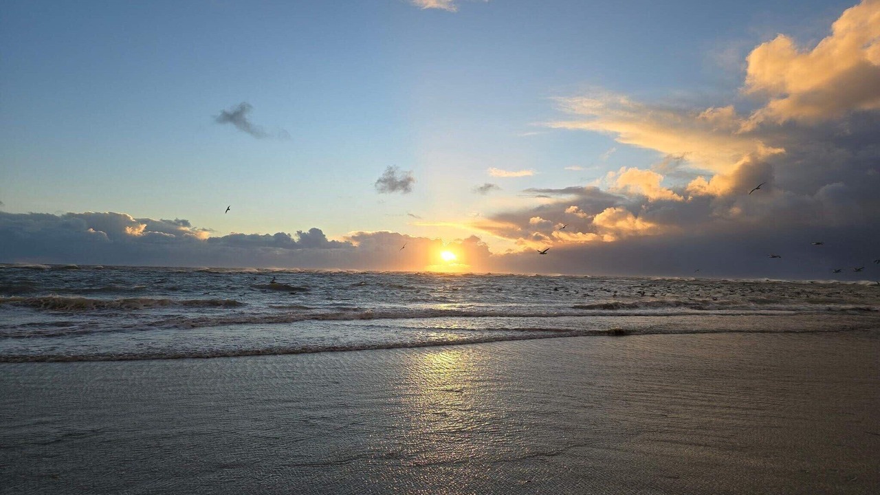 Photo of Others in Blavand Strand