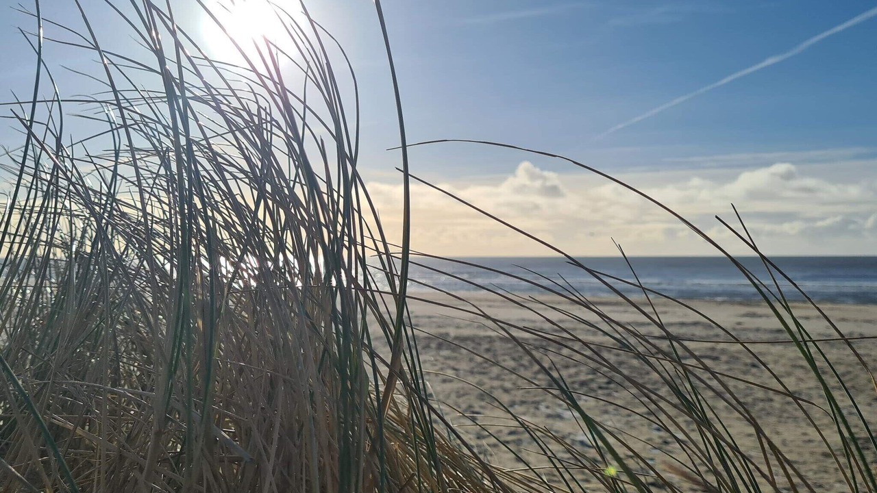 Photo of Others in Blavand Strand