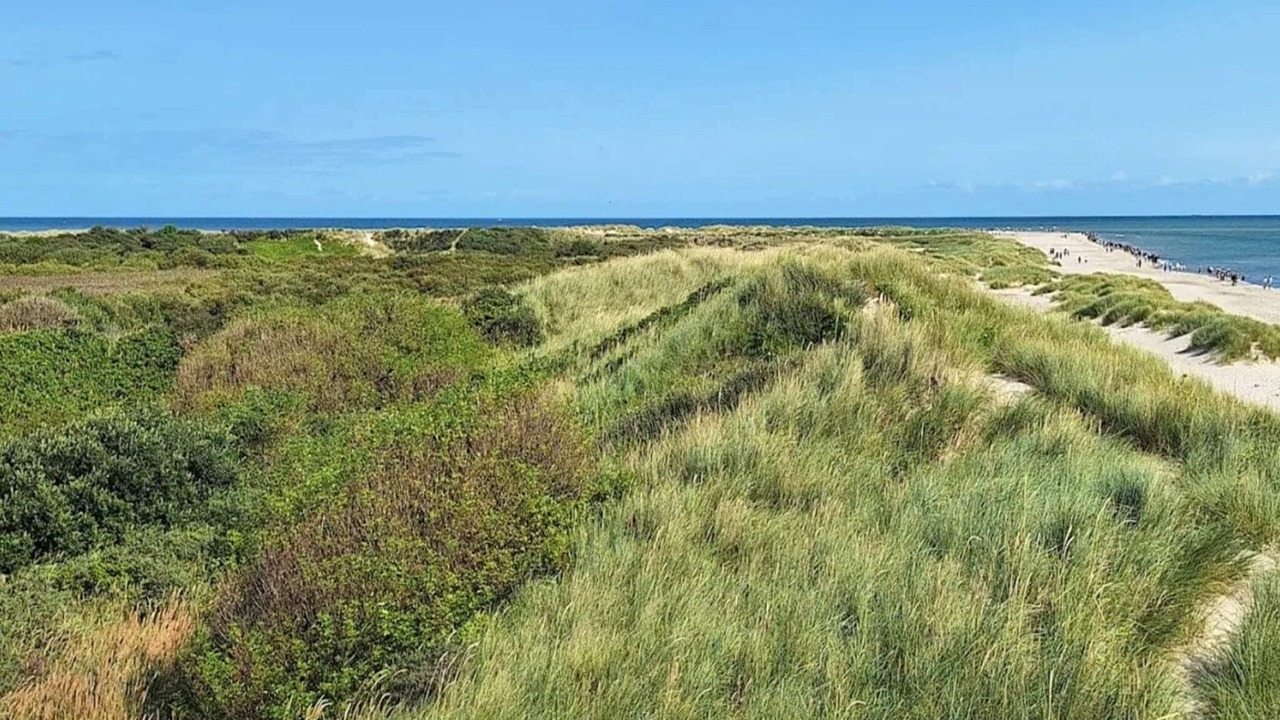 Photo of Others in Skagen