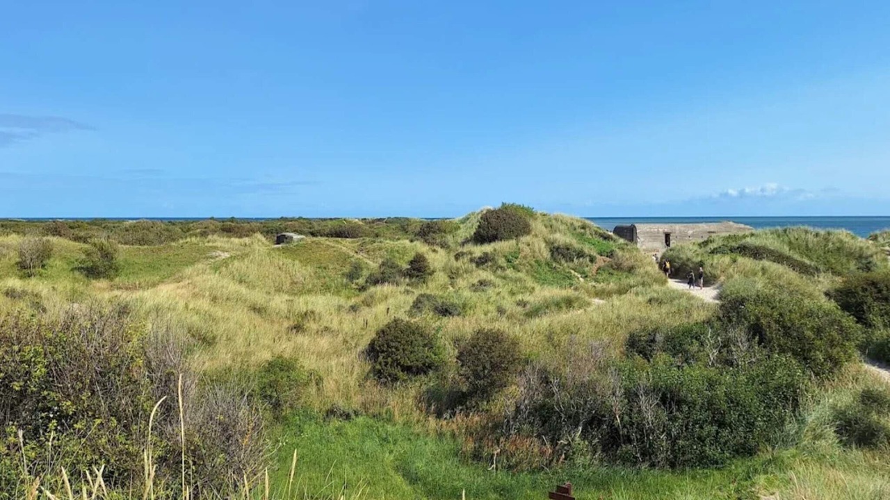 Photo of Others in Skagen
