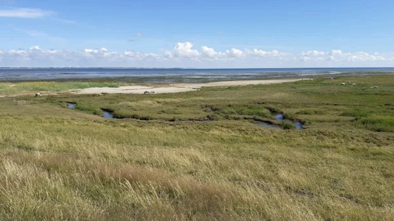 Photo of Others in Sønderstrand