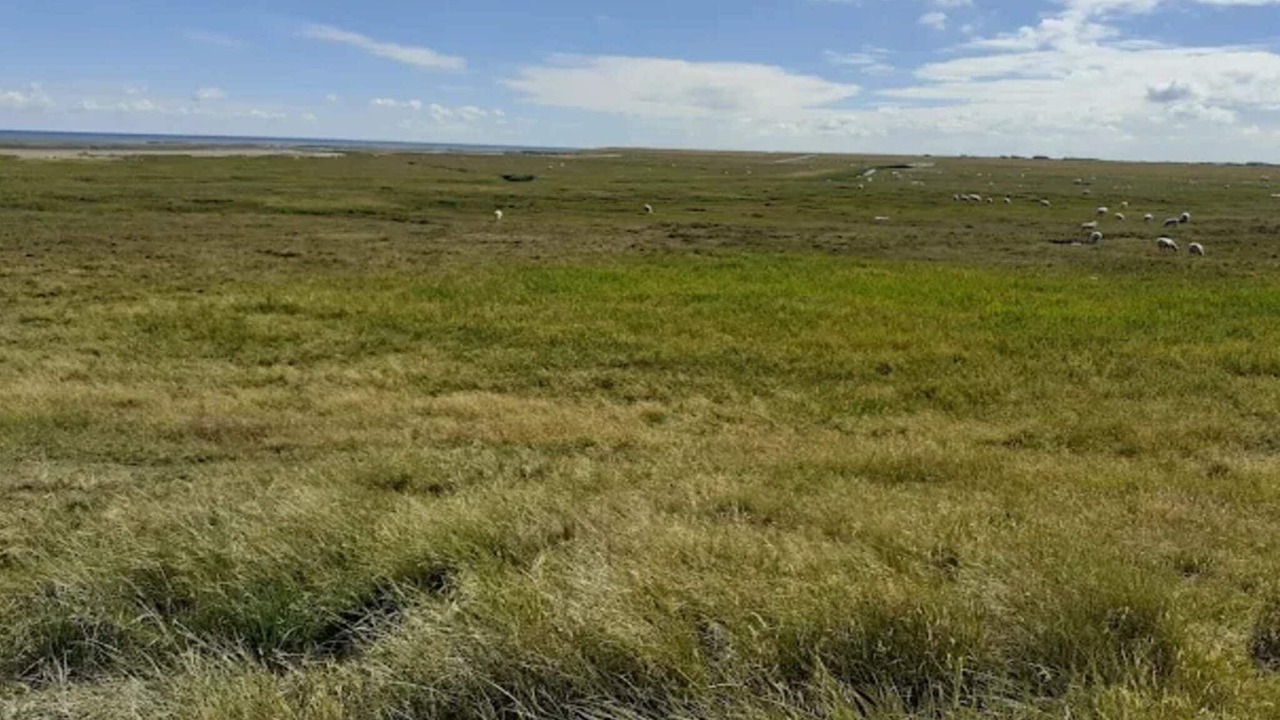 Photo of Others in Sønderstrand
