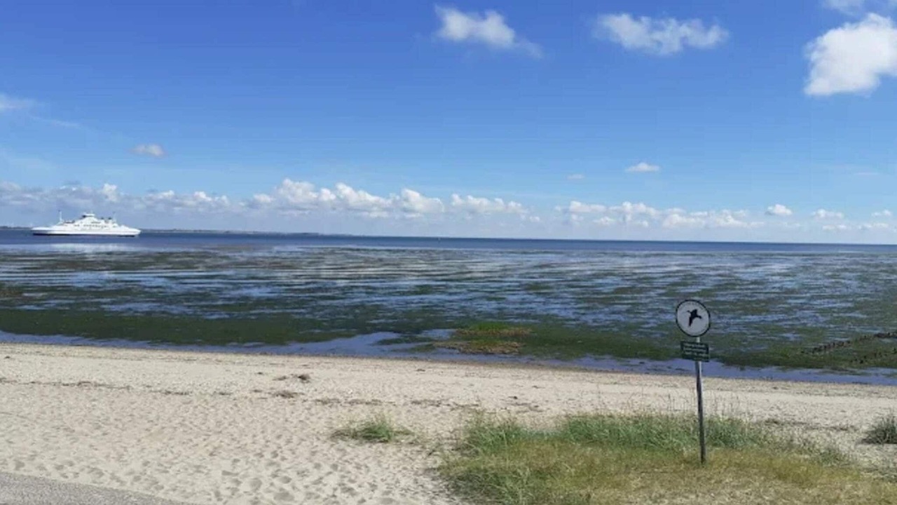 Photo of Others in Sønderstrand