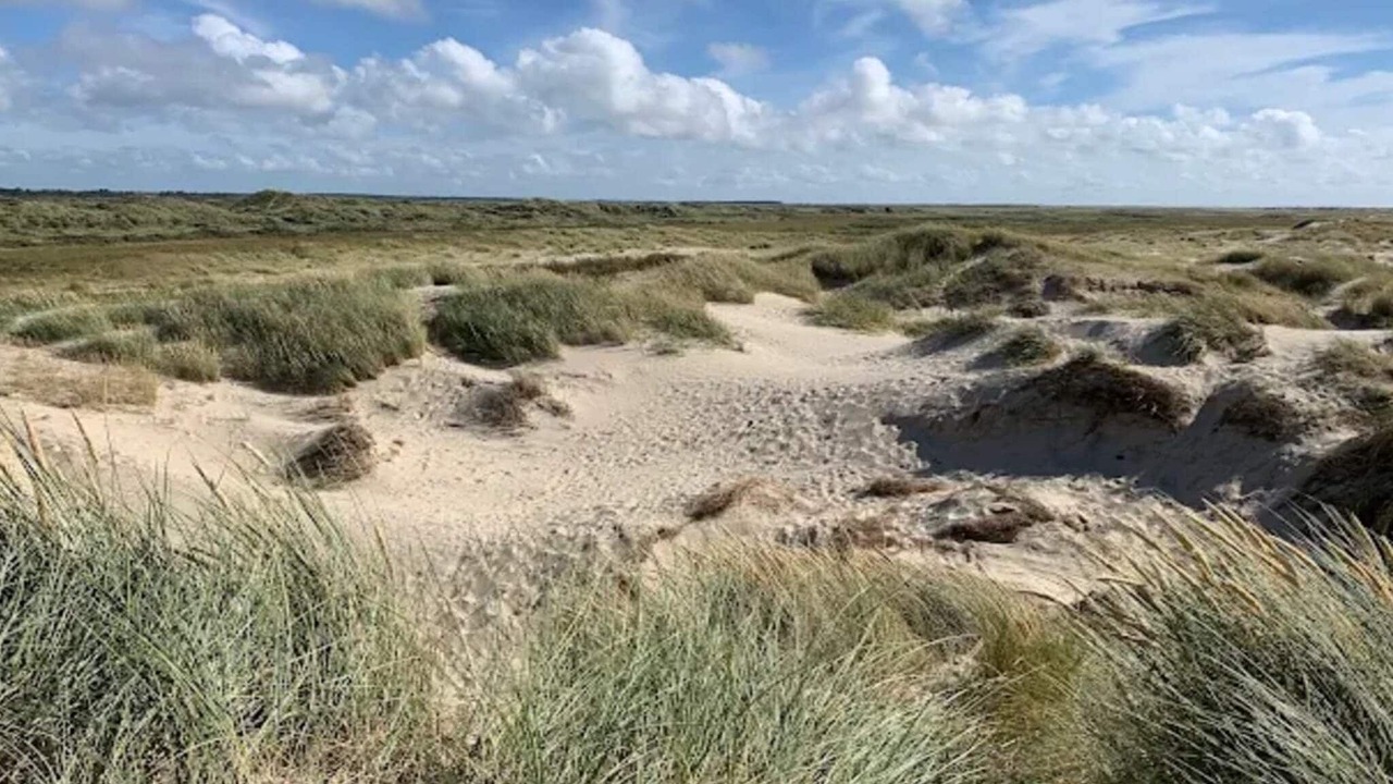 Photo of Others in Sønderstrand