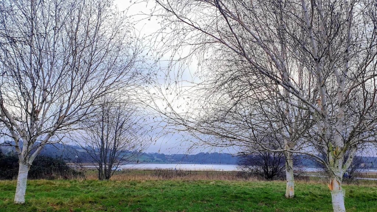 Photo of Others in Faaborg