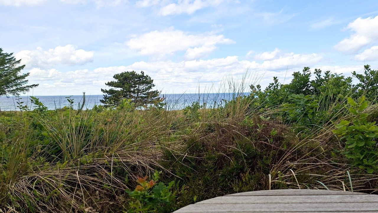 Photo of Others in Fjellerup
