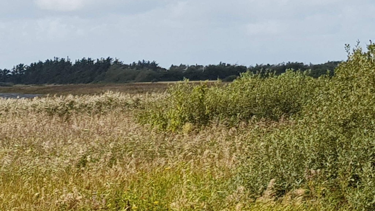 Photo of Others in Thorsminde