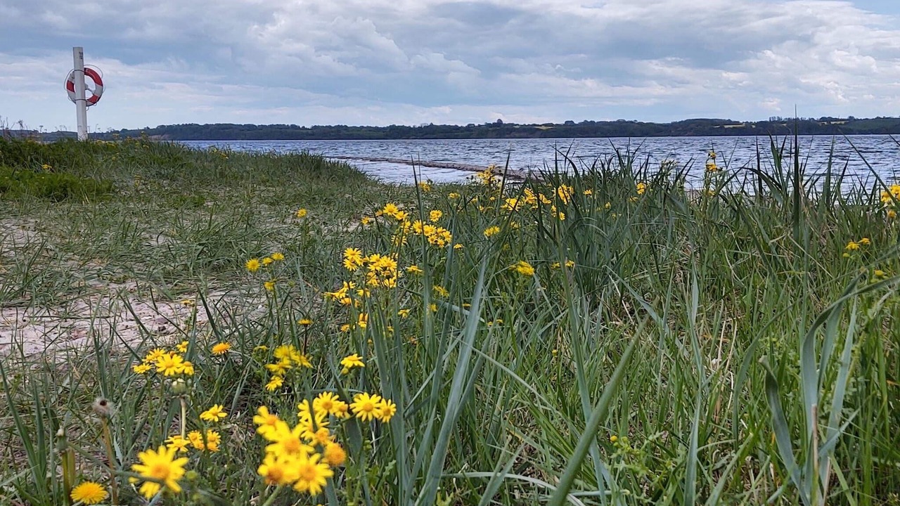Photo of Others in Aabenraa