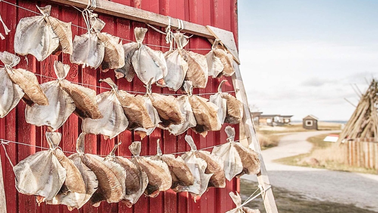 Photo of Outdoor in Nørre Lyngvig