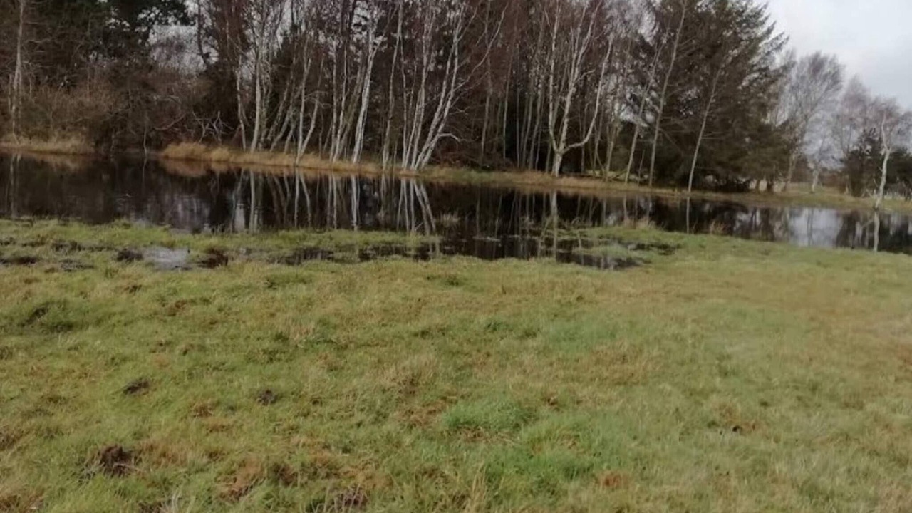 Photo of Outdoor in Dannemare