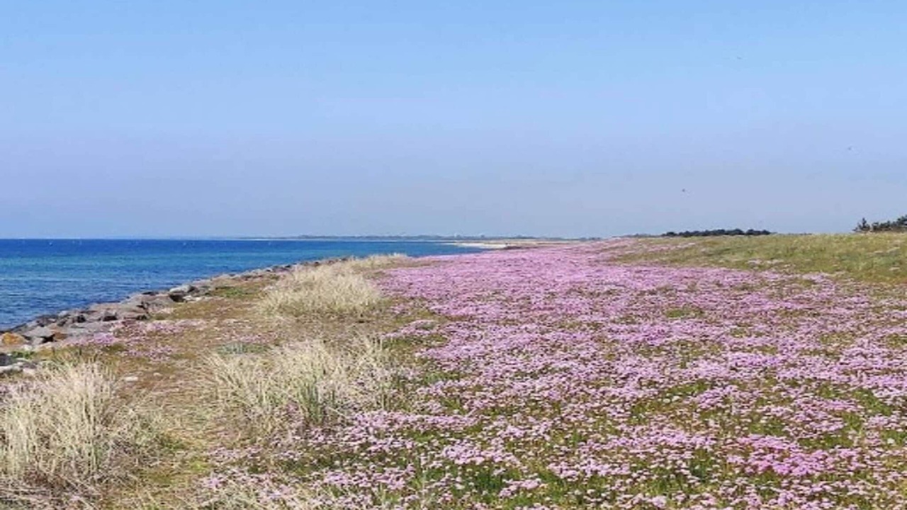 Photo of Outdoor in Dannemare