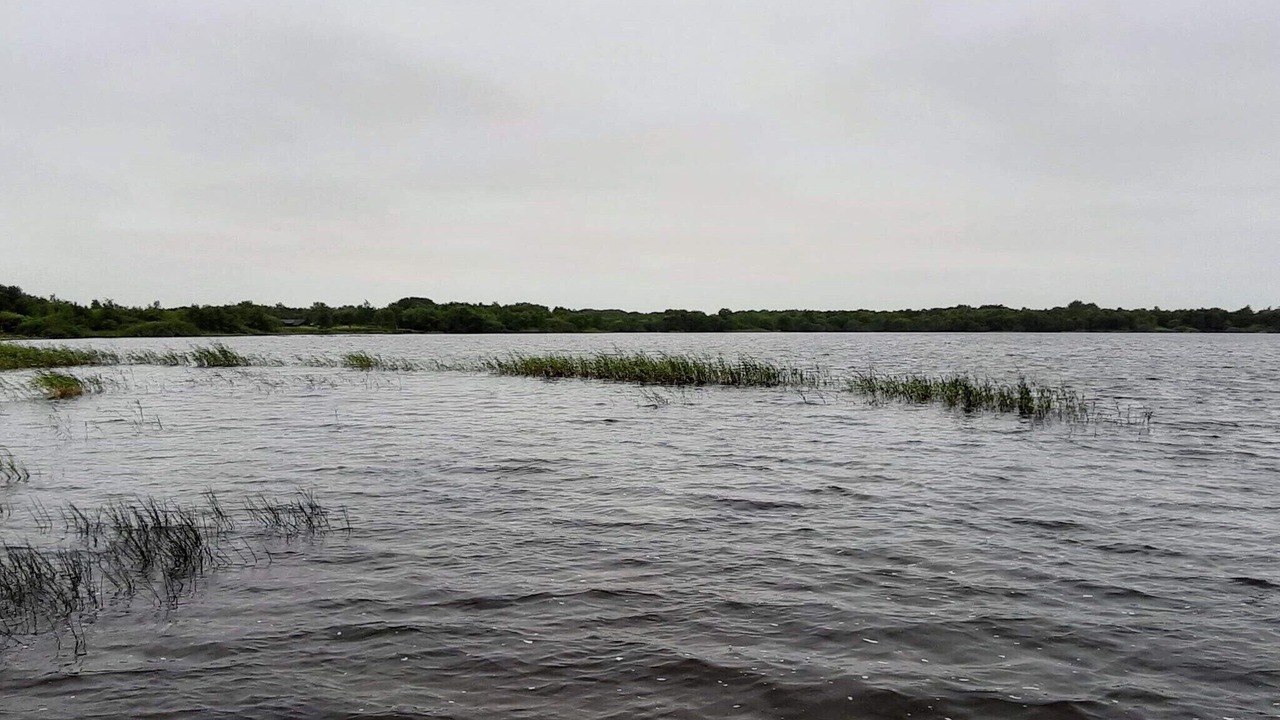 Photo of Others in Ansager