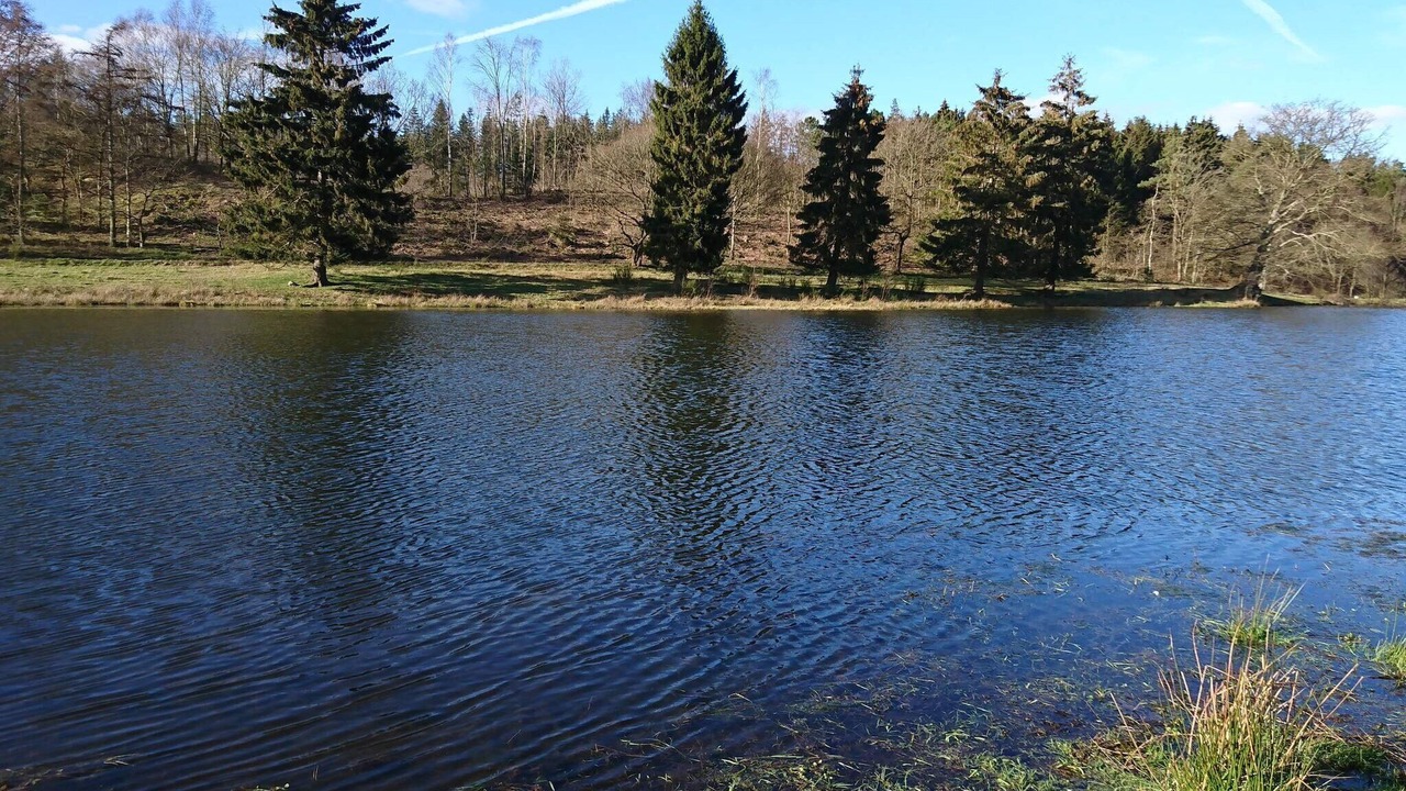 Photo of Others in Femmøller