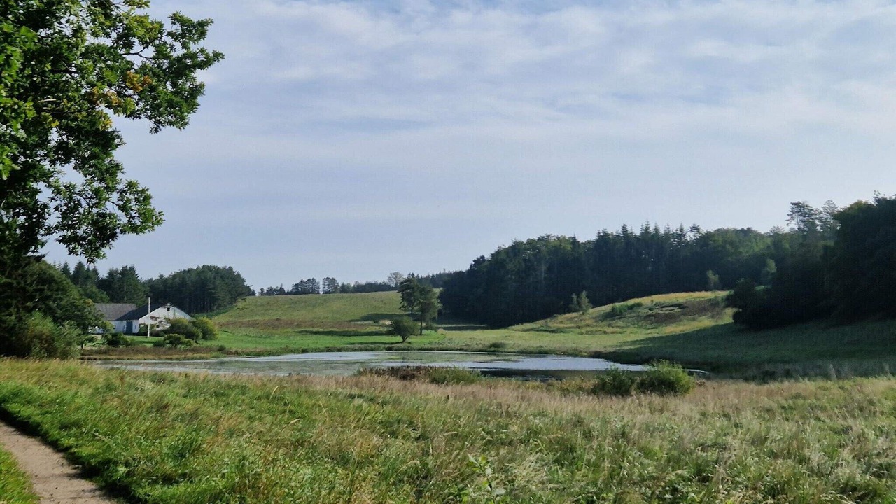 Photo of Others in Femmøller