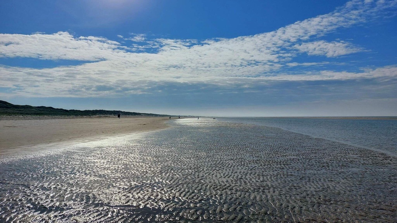 Photo of Others in Blavand Strand