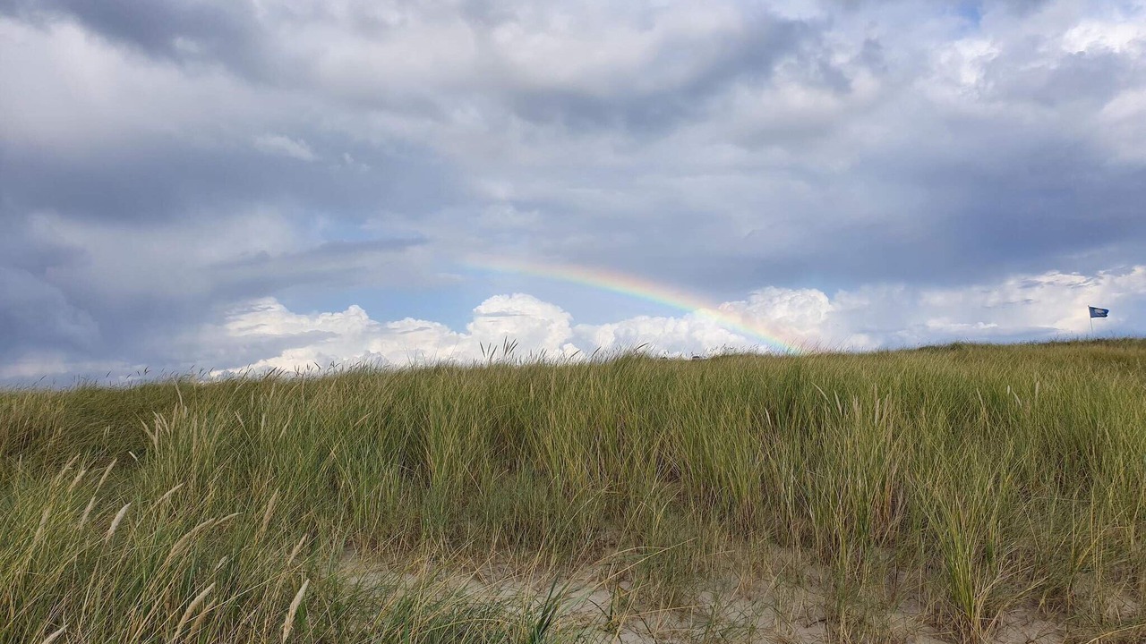 Photo of Others in Blavand Strand