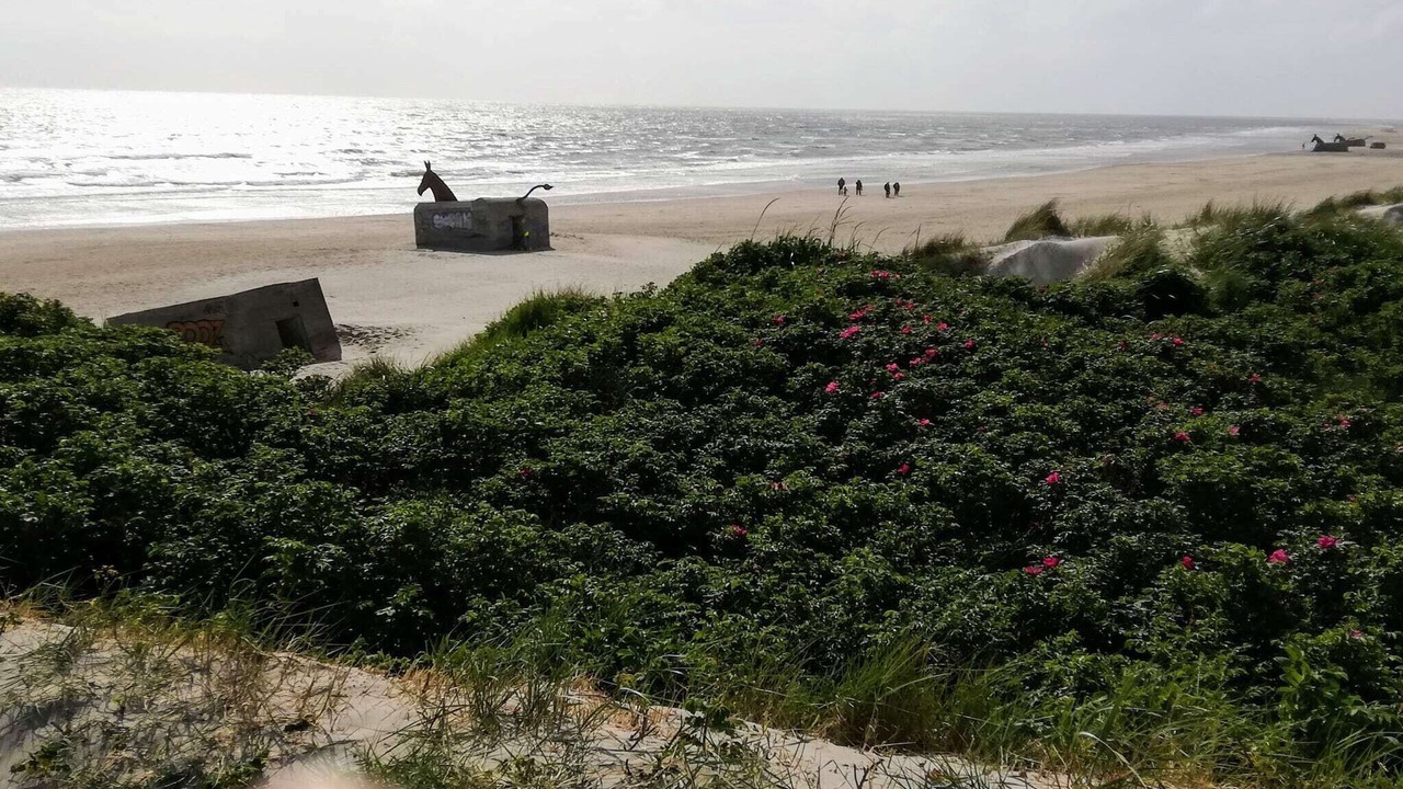 Photo of Others in Blavand Strand