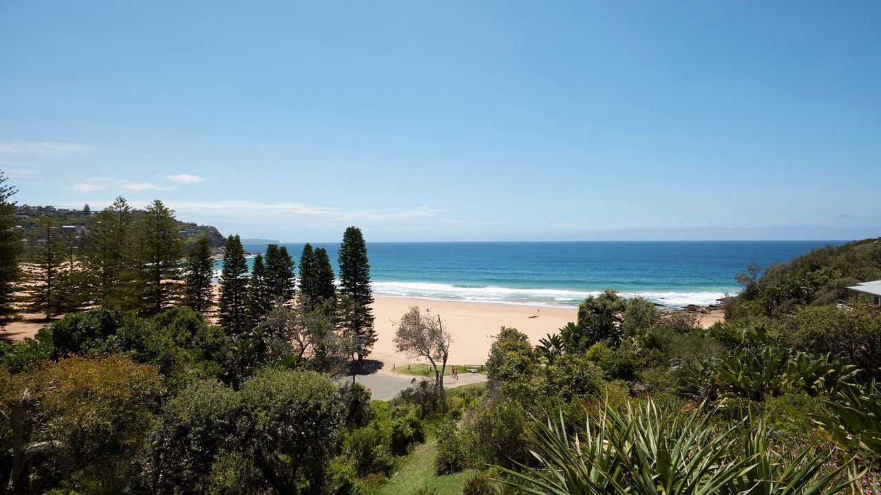 Photo of Others in Whale Beach