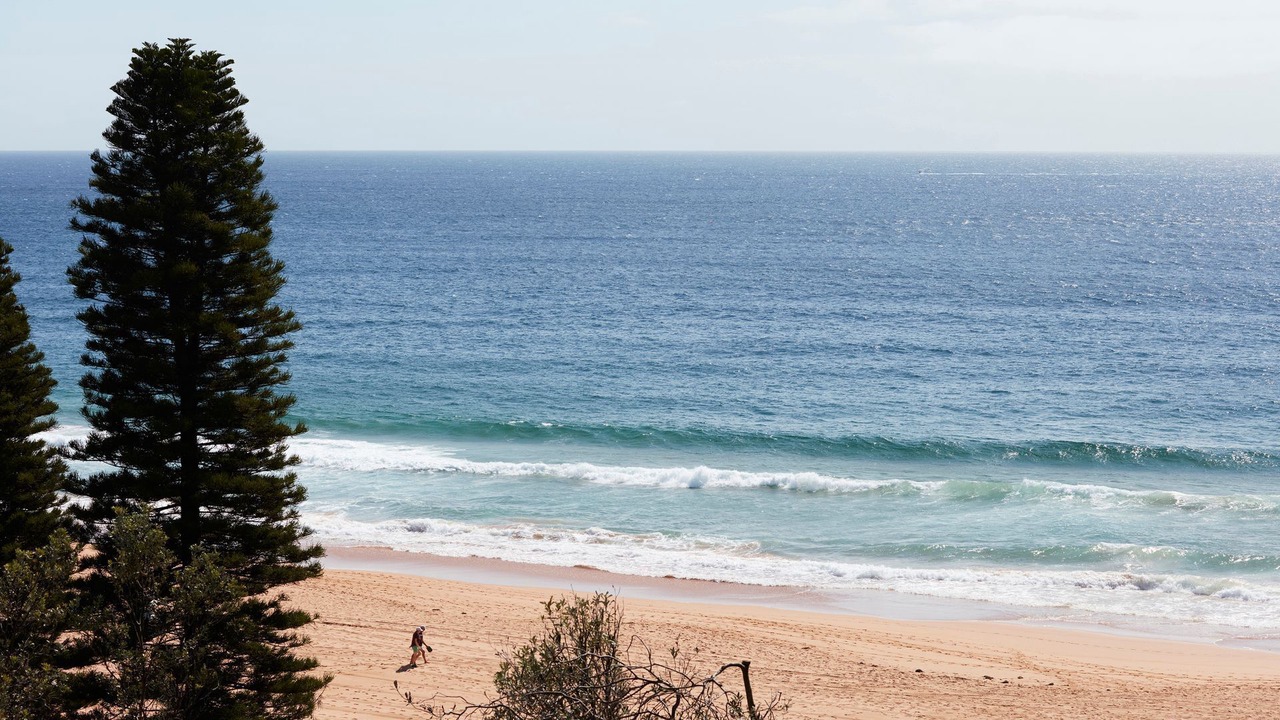 Photo of Others in Whale Beach