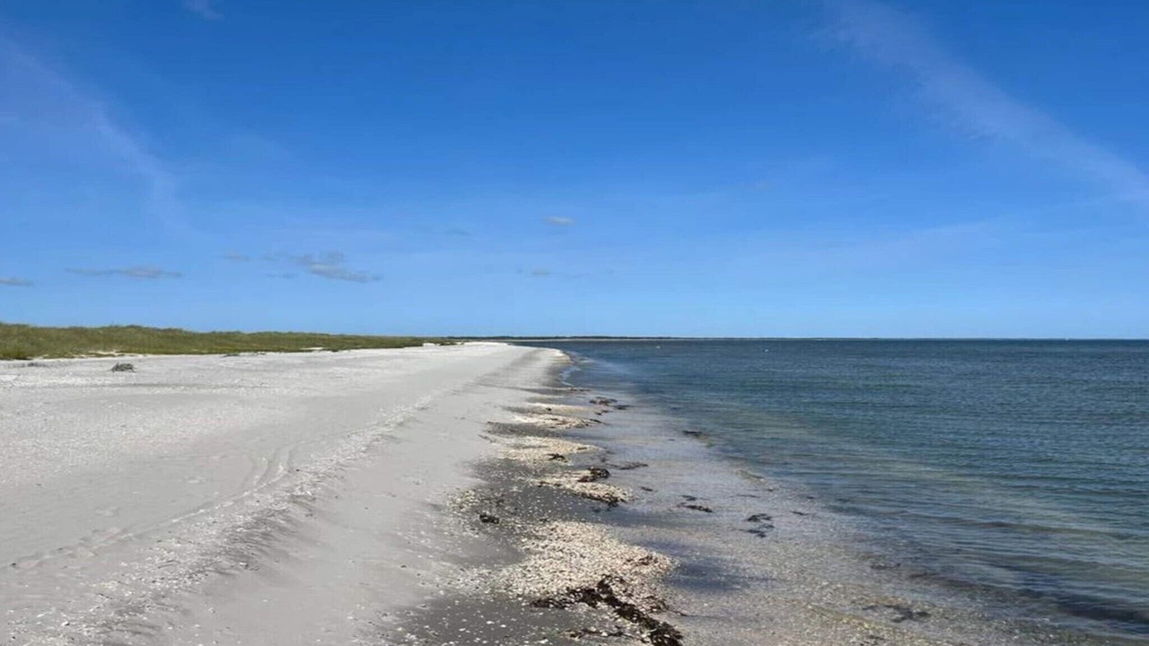 Photo of Others in Bratten Strand
