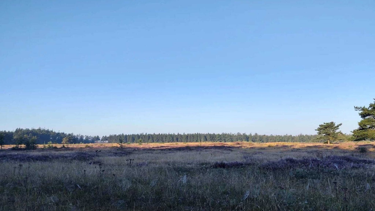 Photo of Others in Hovborg