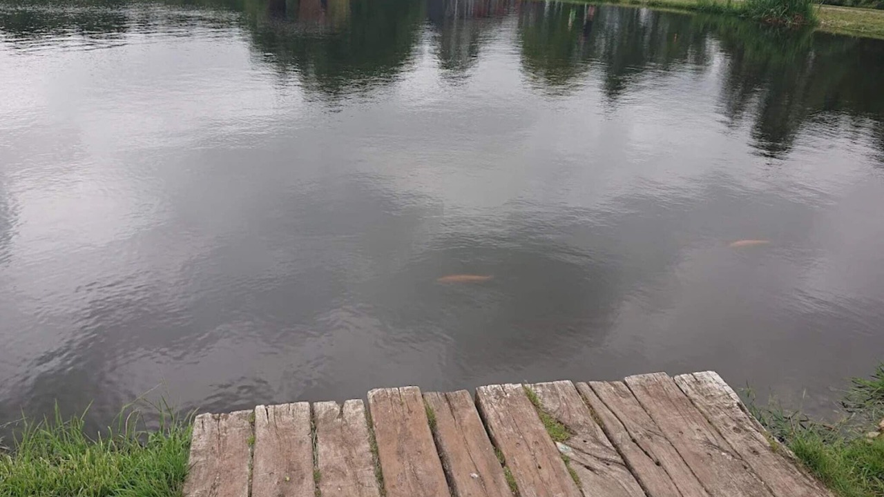 Photo of Others in Hovborg