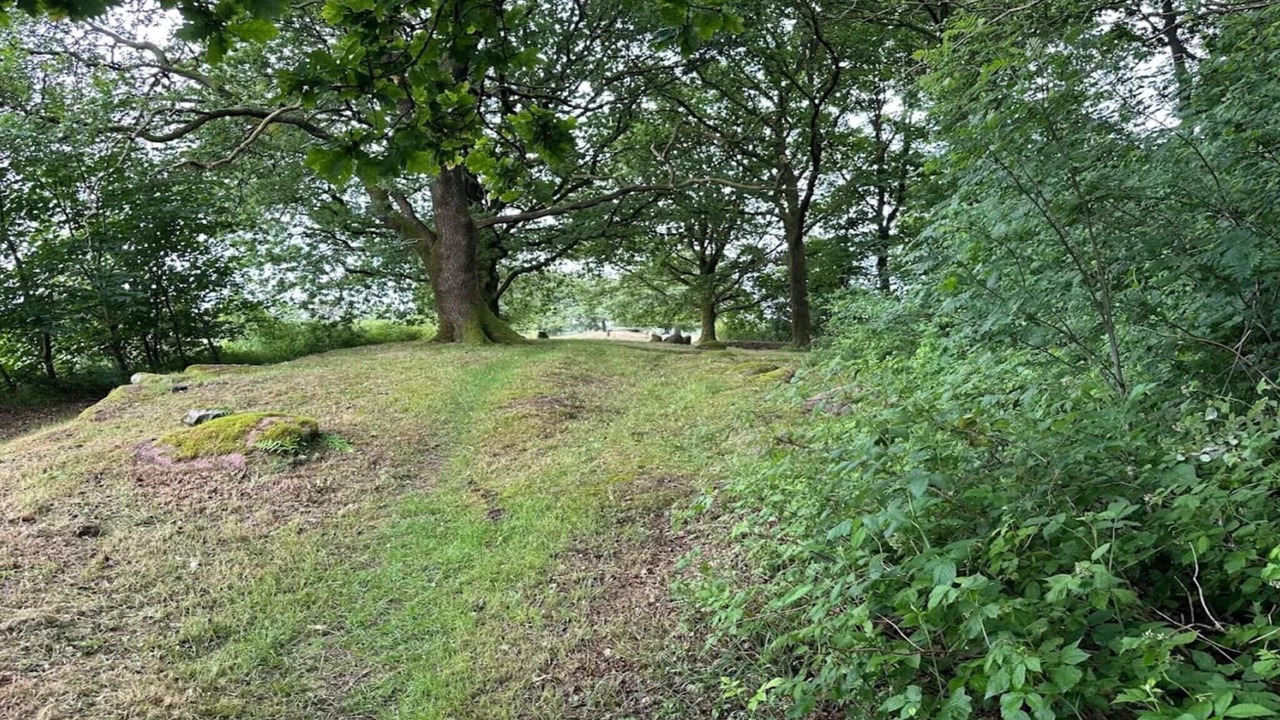 Photo of Others in Hovborg