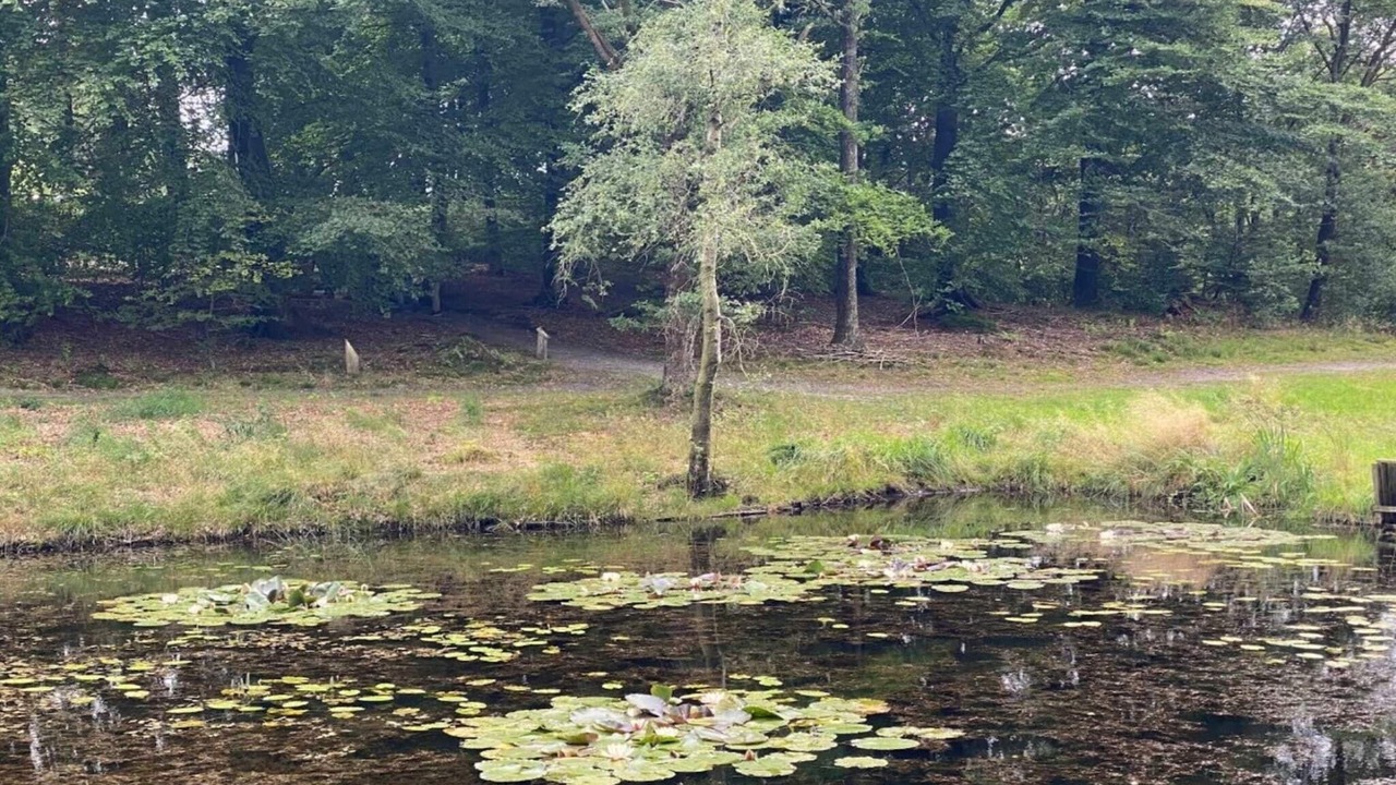 Photo of Others in Hovborg