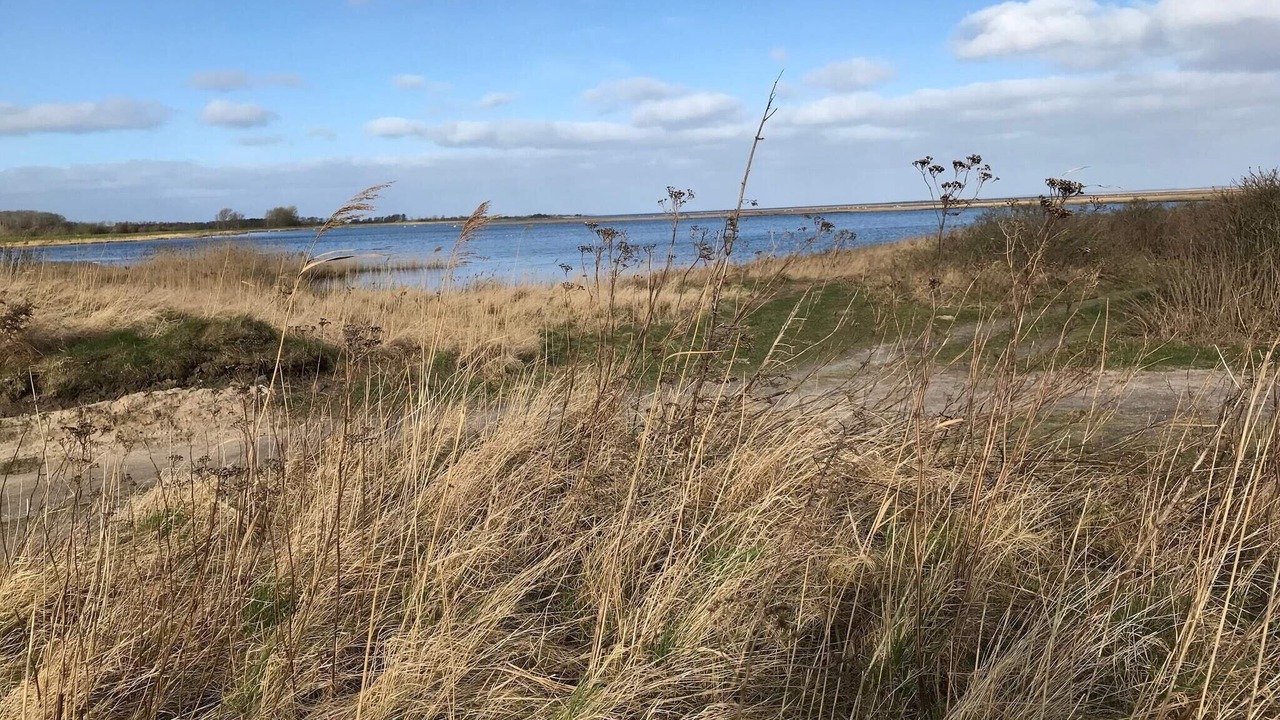 Photo of Others in Arø