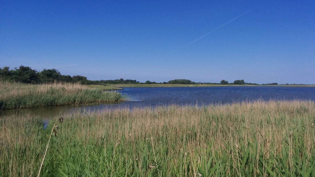 Photo of Others in Arø