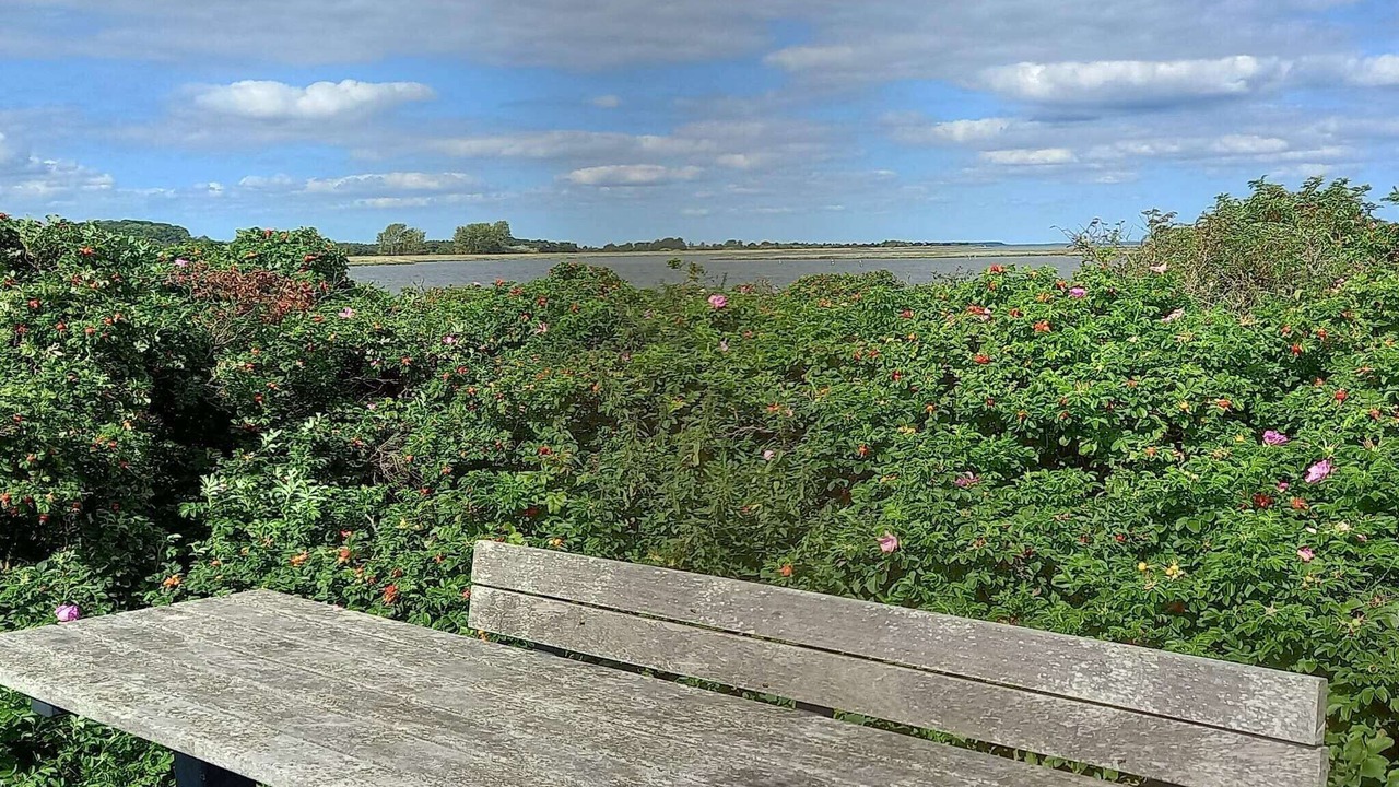 Photo of Outdoor in Arø