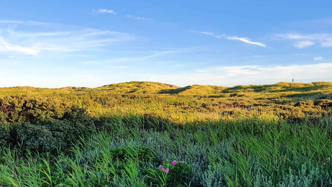 Photo of Outdoor in Kongsmark