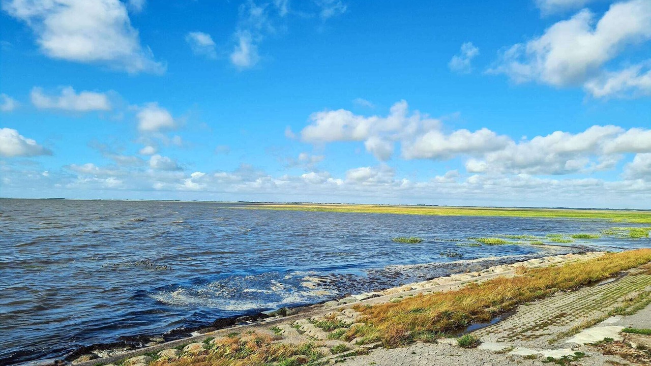 Photo of Others in Kongsmark